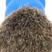 Professional Shaving Brush for Men | Ergonomic Razor Brush for Home & Salon Use | Portable Facial Care Tool - Buy Online on GoSupps.com