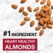 KIND Cranberry Almond + Antioxidants 6 Count - 8.4 Oz Pack, Healthy Snack Bar - Buy Online on GoSupps.com