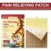 Pain Relief Patch - 10 Pieces for Knee Back and Neck Pain Relief | Heat Therapy Anti-Pain Plaster for Sore Muscles - Buy Online on GoSupps.com