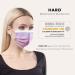 HARD 50 pcs Disposable Face Masks | Made in Germany | CE Certified | Triple Layer Filtration | Elastic Earloops | Rainbow Lilac - Buy Online on GoSupps.com