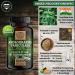 Andrographis Paniculata 500mg - 10:1 Extract (5000mg) | Vegan Chemical-Free Lab Tested | 120 Capsules - De Scheunengut  - Buy Online on GoSupps.com