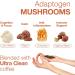 Lean Caffeine Mushroom Coffee Ground 908g | Mushroom Extract Blend | Mycotoxin Free | Lions Mane, Reishi, Cordyceps & Agaricus Blazei | 908g (Pack of 1) - Buy Online on GoSupps.com