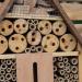 Woodside Wooden Insect & Bee House - Natural Wood Bug Hotel for Garden Nesting - Buy Online on GoSupps.com