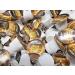 55x Caf Maid Luxury Coffee Creamer Long Life Individual Portions Pots Jiggers Lakeland x55 pots - Buy Online on GoSupps.com
