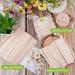BQTQ 260 Wooden Spatulas for Hair Removal | Waxing Sticks 3 Sizes | Premium Wooden Mouth Spatula - Buy Online on GoSupps.com