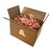 100 Fortune Cookies - Individually Wrapped with Fun Traditional Fortunes - Buy Online on GoSupps.com