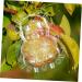 ORFOFE 2pcs Shaped Growth Fruit Buddha Baby Shaper Small Watermelon Accessories - Buy Online on GoSupps.com