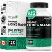 Renew Actives Premium Organic Lion's Mane Mushroom 1100MG per 2 Capsules - Supports Brain Function Memory Focus Stress Relief & Immune Health Non-GMO Vegan - Made in Canada - 120 Capsules