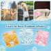 Shop XL Slowton Dog Diapers for Bitches - 3 Washable Solutions for Incontinence & Heat | International Shipping Available - Buy Online on GoSupps.com