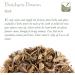 Organic Butchers Broom Root - Premium Quality Ruscus Aculeatus 200g - Buy Online on GoSupps.com