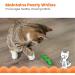 Catstages Orkakat Wiggle Worm Dental Catnip Cat Chew Toy - Buy Online on GoSupps.com