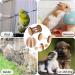 CCCYMM 6 Pcs Pet Natural Wooden Chew Toys Dumbells Exercise Bell Molar Toy for Parrot Rabbit Chinchilla Guinea Pig Hamster Small Animals - Buy Online on GoSupps.com