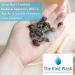 1KG Kind Wash Soap Nuts: Natural Organic Laundry Detergent for Clothes - Soapnut Alternative to Powder, Cleanser, Sheets & Flakes - Buy Online on GoSupps.com