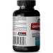 Best Creatine Powder - 100mg Creatine for Energy & Stamina - Top Quality Creatine Supplement (1 Bottle - Buy Online on GoSupps.com