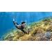 Buy Insta360 X3 Invisible Dive Case - Best Waterproof Accessory for Underwater Adventures | International Shipping Available - Buy Online on GoSupps.com