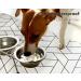 Libersoul Bohemian Waterproof Dog Bowl Mat - Boho Cat Food Mat for Floors - Pet Feeding Mat with Simple Lines Design - Buy Online on GoSupps.com