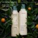 Aveda Shampure Shampoo 33.8 oz - Gentle Cleansing with Calming Aroma - Buy Online on GoSupps.com
