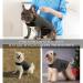 Kelivol Fear Coat for Dogs | Anxiety-Relief Jacket | Soothing Light-Changing Vest | Comfort for Fireworks & Thunderstorms | Size S Dark Gray - Buy Online on GoSupps.com