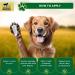 Biteback 'Sweet Relief Silver' Cream - Essential Silver-Infused Antiseptic Cream for Dogs: Ideal for Minor Wounds Abrasions & Rubs - Benzyl Benzoate Dog First Aid Essentials - 100g - Buy Online on GoSupps.com