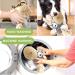 Aeitpet Plush Dog Toys for Large & Small Dogs - Squeaky Cuddly Toys with Crinkle Paper - Perfect Puppy Gifts - Buy Online on GoSupps.com
