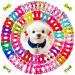 Mruq pet 80pcs/40pairs Dog Bows Clips, Bulk Pet Small Dog Grooming Bows with Metal Clips 0.98x1.37 inches, Mix Puppy Tiny Dog Hair Barrettes Bows, Dog Bows for Yorkie Dog Hair Accessories B016-80 Pcs Dog Hair Bows