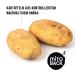 Mitoback 100% Potato Fibers | Premium Quality German Potato Fiber Flour for Baking | Low Carb Keto Vegan Gluten-Free (3 x 250g) - Buy Online on GoSupps.com