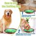 Snuffle Mat for Dogs Pet Snuffle Mat Food Sniffing Feeding Mat Natural Foraging Skills Slow Feeding Puppy Training Mat for Boredom and Stress Relief Encourages Dogs (Blue Green) - Buy Online on GoSupps.com