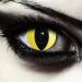Design lenses colored yellow cat eyes Halloween costume contact lenses 1 pair (2 pieces) soft colored lenses without strength yellow cateye "