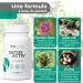Nutrisolution I Detox Activ' I 90 Capsules I Detoxifying Food Supplement I Milk Thistle Detoxification of the Liver I Powerful and Fast Detox Cure I Elimination Toxins I Made in France - Buy Online on GoSupps.com