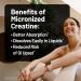 NatureWise Micronized Creatine Monohydrate Powder 5000mg (5g) Per Serving - Creatine for Women & Men - Pure Unflavored Supports Lean Muscle Mass Endurance - 100 Servings - Buy Online on GoSupps.com