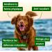 Nutrialife Blue Spirulina Phycocyanin Liquid for Dogs and Cats Pure 5000 MG/l - Energy and Resistance - Antioxidant Animal Alimentary Supplement - Organic Vegan French Culture 250 ml - Buy Online on GoSupps.com