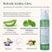 CICA Aloe Hydrating Toner Spray for Face - pH Balanced Facial Mist - Aloe Vera and Centella Asiatica - for Acne Prone and Sensitive Skin - Korean Skincare for Redness Dryness - Buy Online on GoSupps.com