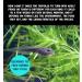 Love Wildlife Tadpole Hatchling Food 80g - Frogs Toads Newts - Buy Online on GoSupps.com