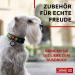 Buy Waudog Adjustable Nylon Dog Collar | Big Medium & Small Dogs | Eco-Friendly Avocado Design 24-40 cm Length - Buy Online on GoSupps.com