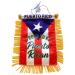 Puerto Rico flags for cars accessories sticker decals Puerto Rican Quality made banderas para autos small mini Banner hanging window car flags Boricua PR accessory
