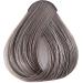 Buy Generic Value Products 7V Light Cool Violet Brown Demi-Permanent Hair Color - Glossy Finish Refreshes Color 2 Fl Oz - International Shipping Available - Buy Online on GoSupps.com