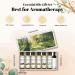EUQEE Woody Aromatherapy Essential Oils Set - Eucalyptus, Cedarwood, Sandalwood, Frankincense, Cinnamon, Myrrh - 6 x 10ml White Bottles - Buy Online on GoSupps.com