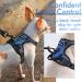 Rabbitgoo Adjustable Dog Harness for Small Dogs - No Pull Control Breast Harness with Reflex Stripes Breathable Design - XS Blue (1 Pack) - Buy Online on GoSupps.com