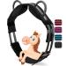 Esposita riding strap with 2 leather handles for holding on for children and riders - also suitable as a lunging belt vaulting belt or as a wooden horse accessories pony unit black