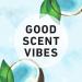 Herbal Essences Hello Hydration Set - Coconut Moisturizing Shampoo & Conditioner, Paraben Free, Color Safe, 29.2 fl oz - Buy Online on GoSupps.com