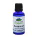 Rosemary (Rosemarinus Officinalis) Essential Oil - 100% Pure Natural & Kosher - 1 fl oz Bottle