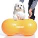 Milliard Peanut Ball Physio Roll for Exercise, Therapy, Labor, Birthing, and Dog Training - Buy Online on GoSupps.com