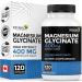 Renew Actives Magnesium Bisglycinate Supplement 120 Capsules
