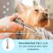 Kenchii Happy Puppy Ball Tip Shears 5.5 Inch Blue - Stainless Steel Dog Grooming Scissors for Safe Trimming | Pet Essentials with Blunt Tip for Puppy Safety - Buy Online on GoSupps.com