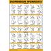 QuickFit 2 Pack Suspension Workout Posters - Volume 1 & 2 - Laminated Exercise Charts - 18 x 27 & 18 x 24 - Buy Online on GoSupps.com