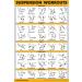 Exercise Workout Poster Set - Pilates Dumbbell Yoga & More | 10 Paper Posters for Home Fitness - Buy Online on GoSupps.com