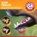 Arm & Hammer Clinical Gum Health Dental Kit for Dogs - Chicken Flavor, 3 Piece Set - Buy Online on GoSupps.com