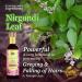 Indie Earth Kesharth Hair Oil - Anti-Grey Solution with Ridge Gourd & Onion - 40+ Natural Ingredients - Buy Online on GoSupps.com