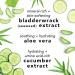 Buy Mario Badescu Facial Spray with Aloe Cucumber & Green Tea - Hydrating Face Mist for All Skin Types (8 Fl Oz + 4 Fl Oz) - International Shipping - Buy Online on GoSupps.com