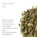 Buy Fresh Green Mint Herbal Tea - Organic Speer Mint (Mentha Spicata) 100g - Refreshing & Rich Flavor - International Shipping Available - Buy Online on GoSupps.com